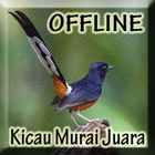 Kicau Murai Batu Offline أيقونة