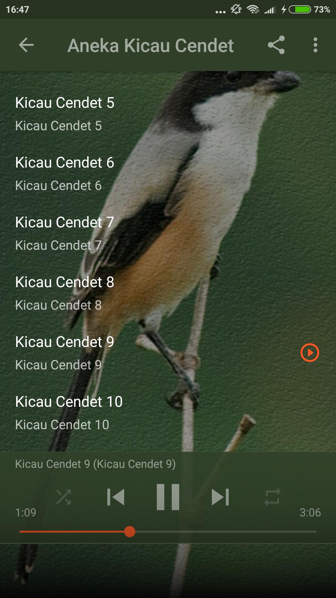 Kicau Cendet Juara For Android Apk Download