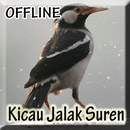 Kicau Jalak Suren Gacor Juara APK