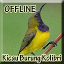 Kicau Burung Kolibri Lengkap APK