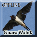 Suara Burung Walet Inap Asli APK