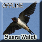 Suara Burung Walet Inap Asli ไอคอน