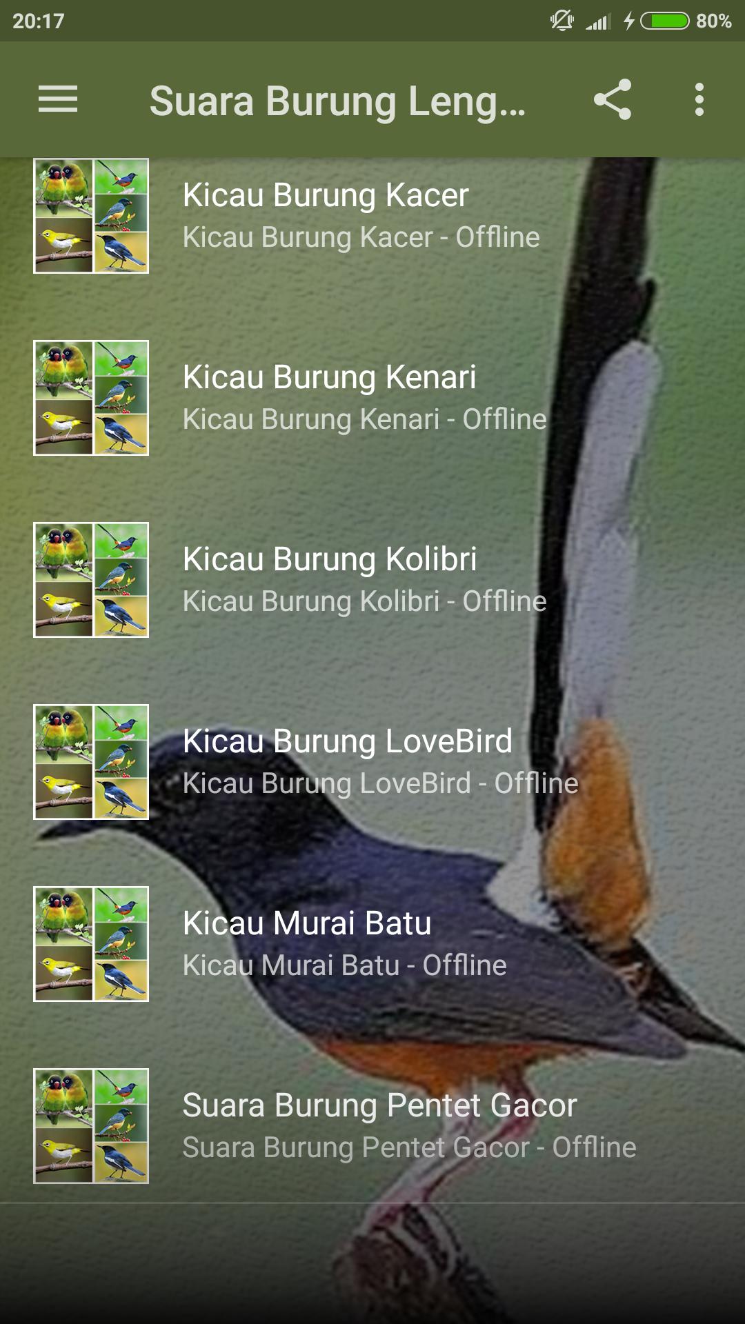 Kumpulan Suara Burung Lengkap Pour Android Telechargez L Apk