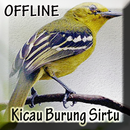 Kicau Burung Sirtu Gacor APK