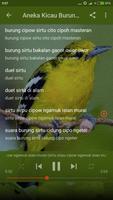 Kicau Burung Sirtu スクリーンショット 1