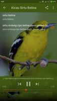 Kicau Burung Sirtu スクリーンショット 2