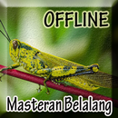 Masteran Suara Belalang Lengkap aplikacja
