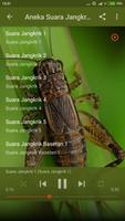 Master Suara Jangkrik الملصق