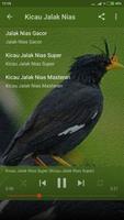 Suara Burung Jalak kebo Offline 截圖 3