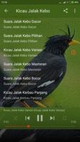 Suara Burung Jalak kebo Offline 截圖 1