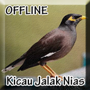 Suara Burung Jalak Nias Gacor APK