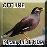 Suara Burung Jalak Nias icon