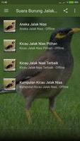 Suara Burung Jalak Nias 포스터