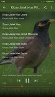 Suara Burung Jalak Nias Ekran Görüntüsü 1
