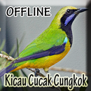 Suara Burung Cucak Cungkok aplikacja
