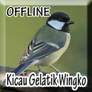 Suara burung Gelatik Wingko Offline aplikacja