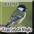 Suara burung Gelatik Wingko Offline icon