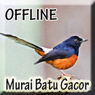 Suara Burung Murai batu Offline icône