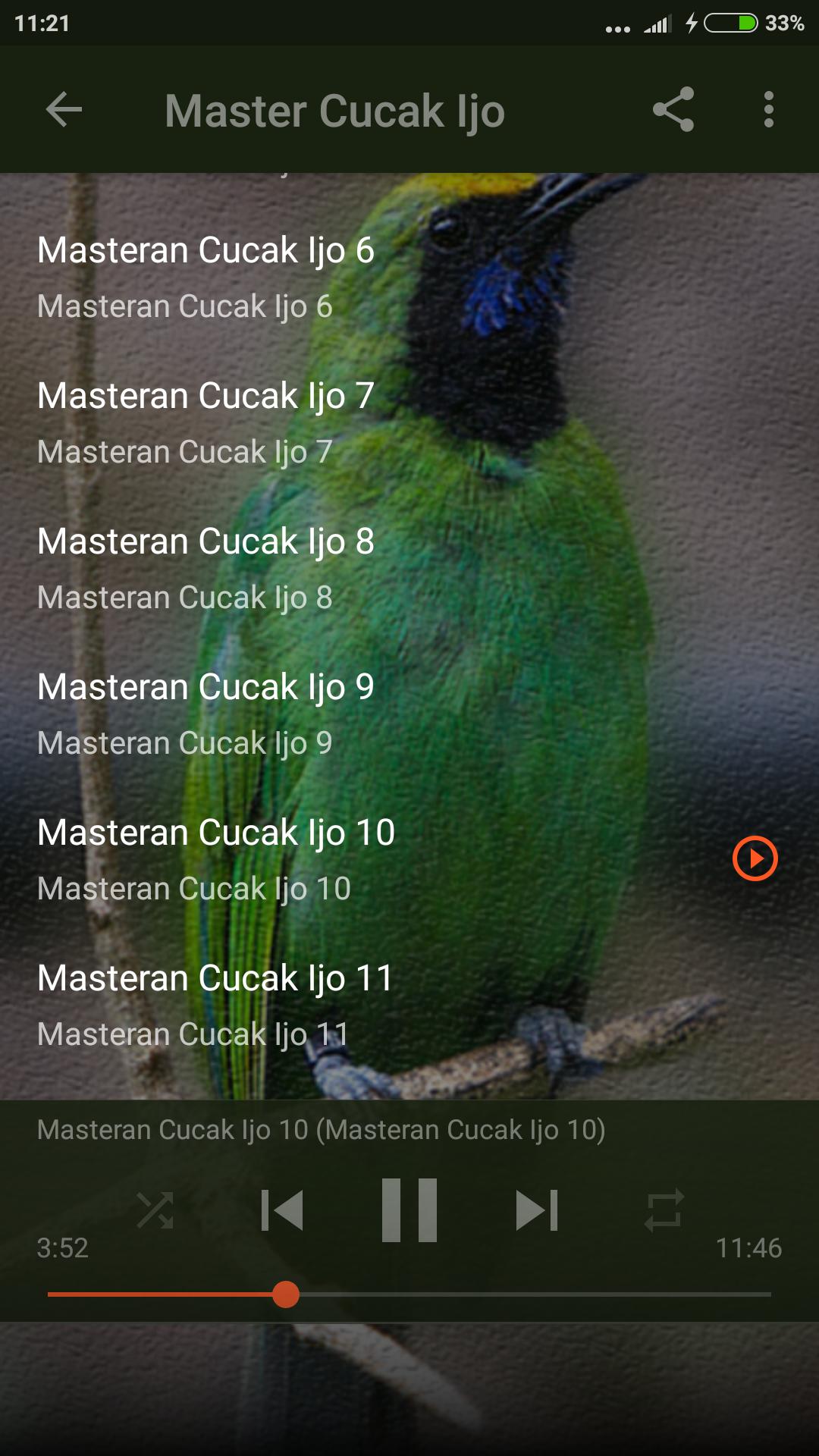 Suara Burung Cucak Ijo Gacor For Android Apk Download