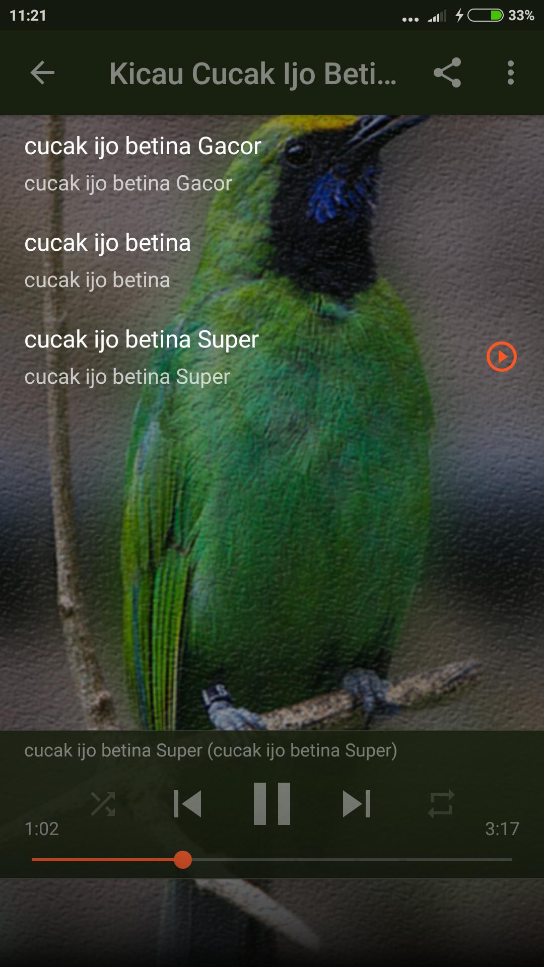 Suara Burung Cucak Ijo Gacor For Android Apk Download