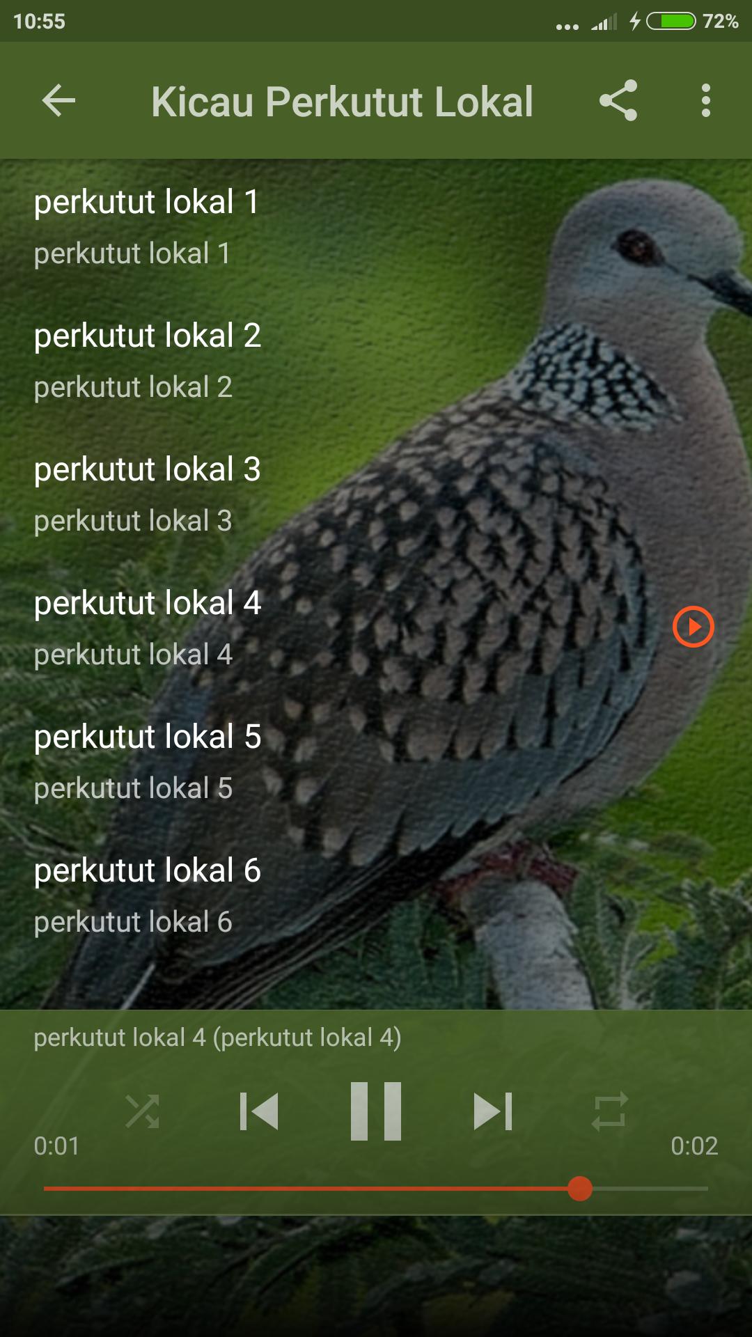 Suara Burung Perkutut Gacor For Android Apk Download