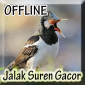 Suara Jalak Suren Gacor For Android Apk Download