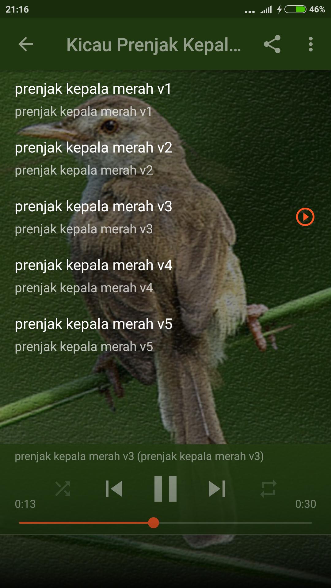 Suara Burung Prenjak Gacor For Android Apk Download