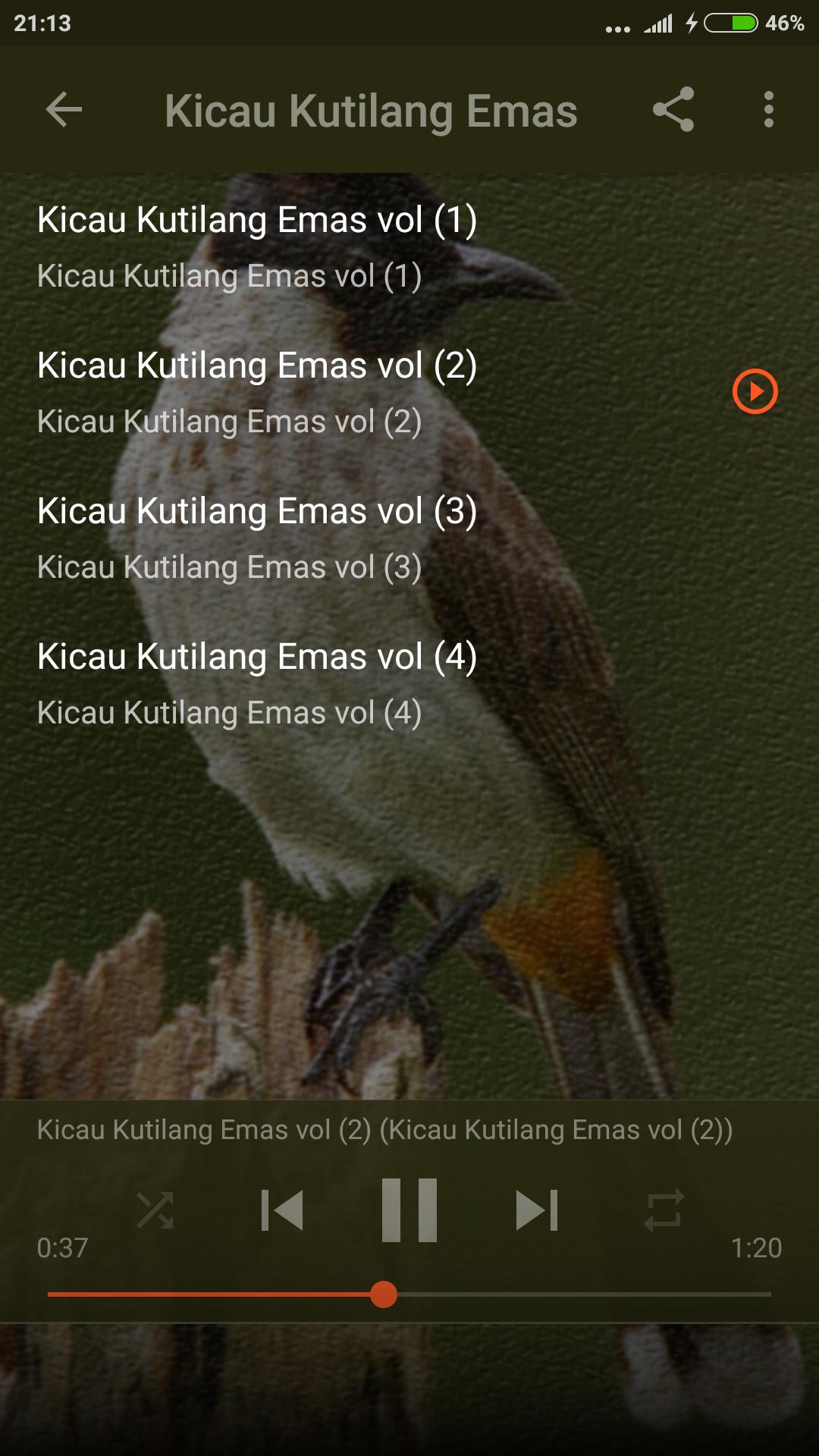 Suara Burung Kutilang Gacor For Android Apk Download