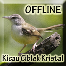 Suara Ciblek Kristal Gacor APK