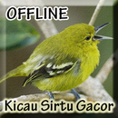 Suara Burung Sirtu Gacor-APK