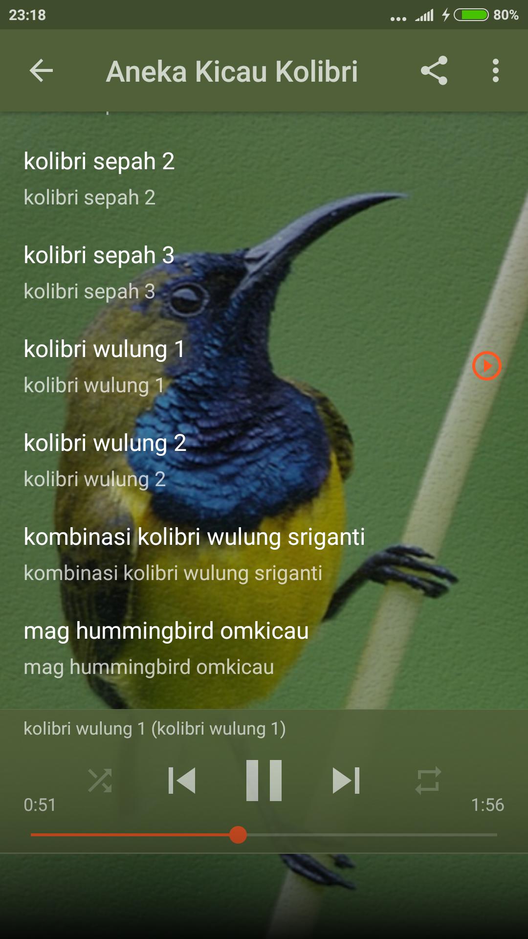 Videos Matching Pancingan Sogok Ontong Gacor Revolvy