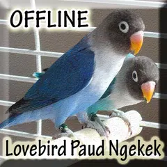 Lovebird Paud Ngekek Panjang APK 下載