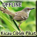 Suara Burung Ciblek Pikat-APK