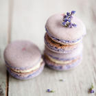 Easy macarons recipes icon