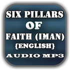 Six Pillars of Faith ENG Audio icône