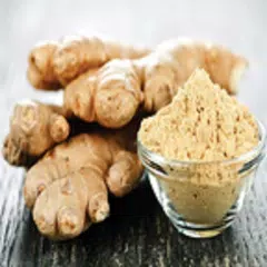 Benefits of Ginger アプリダウンロード