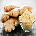 Benefits of Ginger 아이콘