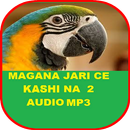 MAGANA JARI CE NA BIYU MP3 APK