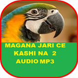 MAGANA JARI CE icon
