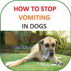 How to Stop Vomiting in Dogs 아이콘