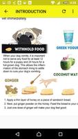 How to Stop Vomiting in Dogs 스크린샷 3