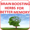 Brain-Boosting Herbs for Bette