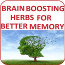 Brain-Boosting Herbs for Bette APK