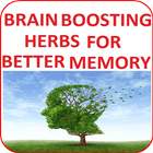 Brain-Boosting Herbs for Bette ikon