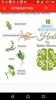 Brain-Boosting Herbs for Bette ảnh chụp màn hình 3