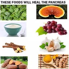 Amazing Foods to Heal Your Pancreas Quicker APK Herunterladen