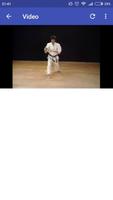 26 Shotokan Karate Katas تصوير الشاشة 1