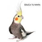 Ninfa Cantos آئیکن