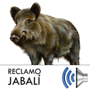 Jabali Reclamo APK