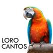 Loro